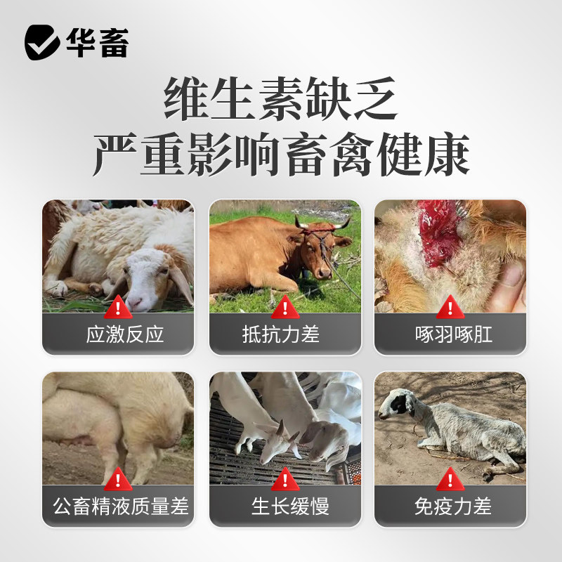 华畜电解多维兽用维生素鱼肝油鸟禽猪牛羊芦丁鸡乌龟水产微量元素,淘宝优惠券,粉丝福利购,淘宝优惠卷