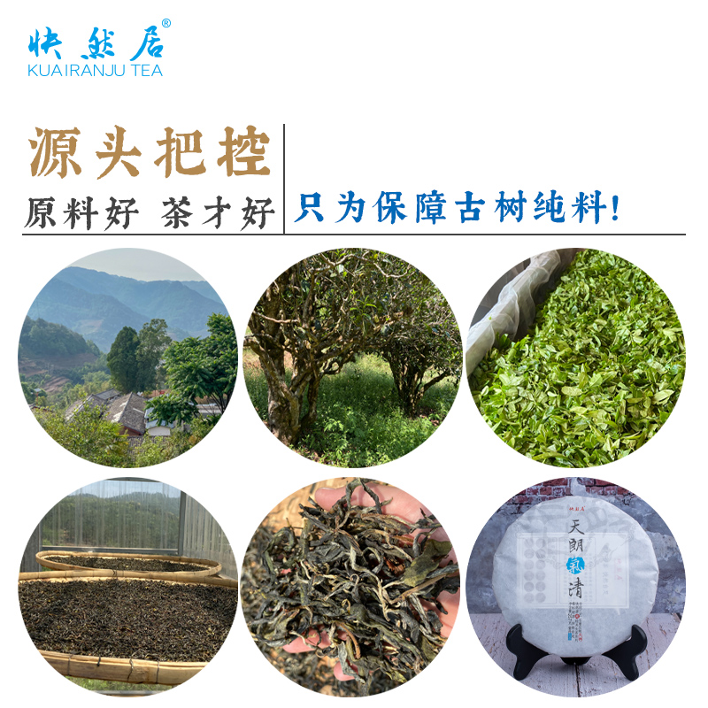 冰岛古树普洱生茶快然居天朗气清357g樟香蜜香回甘勐库普洱茶春茶