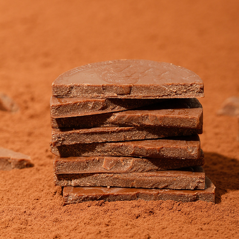 迪诺恐龙家族牛奶金币巧克力礼盒荷兰进口糖果零食圣诞节礼物120g