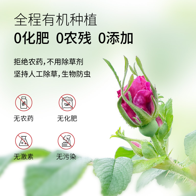 有机玫瑰花蕾茶干玫瑰花玫澜正品泡水无硫熏养生茶叶伴手礼罐装 - 图3