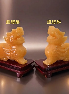 天然黄玉貔貅摆件公母一对玉石皮丘麒麟办公室装饰品开业礼物