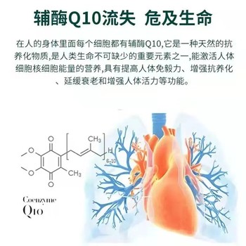 ປັກກິ່ງ Tongrentang Coenzyme Q10 Capsule Antioxidant ປັບປຸງການດູແລຫົວໃຈແລະນອນເດິກແລະເຮັດວຽກລ່ວງເວລາຂອງພູມຕ້ານທານຂອງຮ້ານທີ່ແທ້ຈິງ