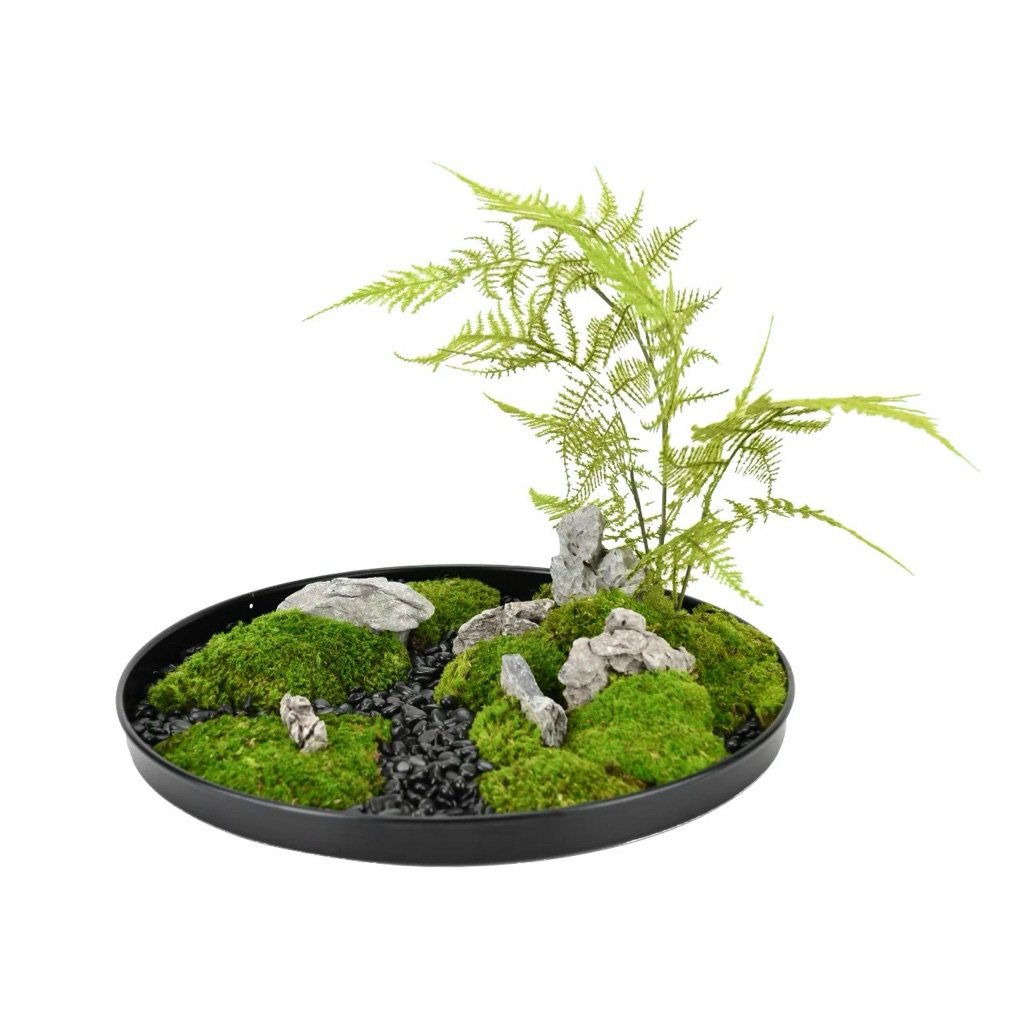 餐桌中间摆花电动转盘摆花装饰品圆桌桌花摆件永生苔藓景观造景,淘宝优惠券,粉丝福利购,淘宝优惠卷