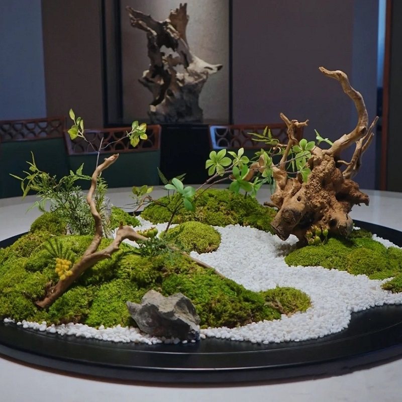 酒店餐桌转盘装饰景观大圆桌中间摆件禅意永生苔藓桌花摆设,淘宝优惠券,粉丝福利购,淘宝优惠卷