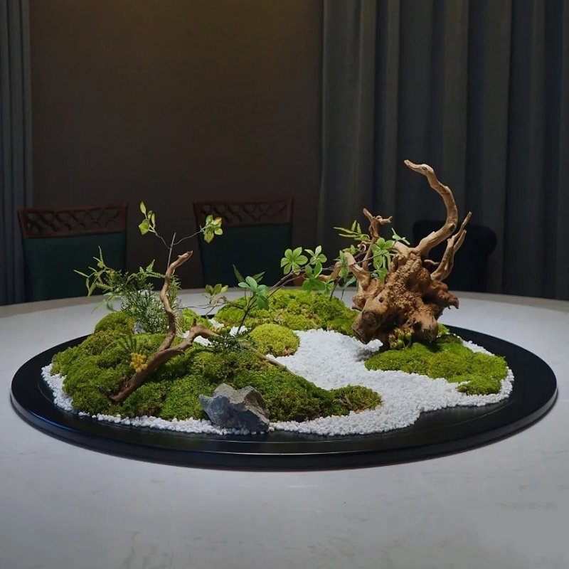 酒店餐桌转盘装饰景观大圆桌中间摆件禅意永生苔藓桌花摆设,淘宝优惠券,粉丝福利购,淘宝优惠卷