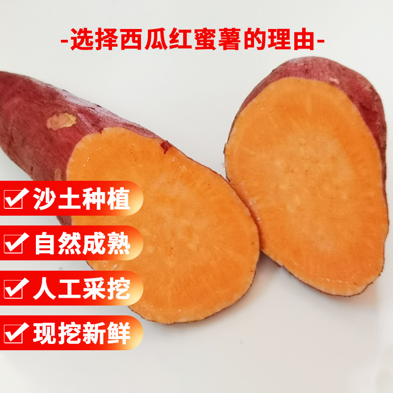 正宗西瓜红新鲜蜜薯糖心板栗地瓜 鲜尚舞番薯