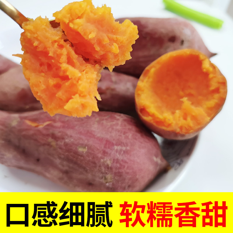 正宗西瓜红新鲜蜜薯糖心板栗地瓜 鲜尚舞番薯