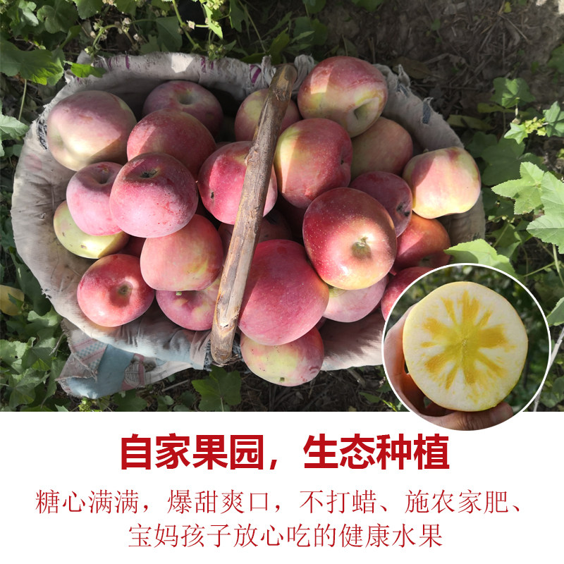 阿克苏冰糖心苹果新鲜应当季特级丑 阿克苏原产地苹果