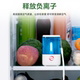 冰箱除味臭氧负离子三重净化智能保鲜消毒除味器冰箱除味衣柜消毒