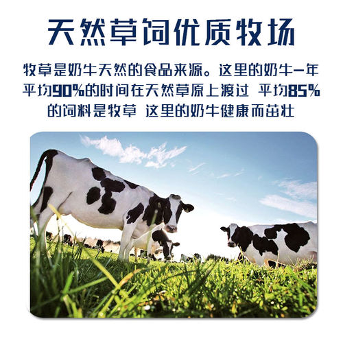 意大利进口韦苏威马苏里拉奶酪块芝士拉丝原制干酪披萨烘焙家商用 - 图2