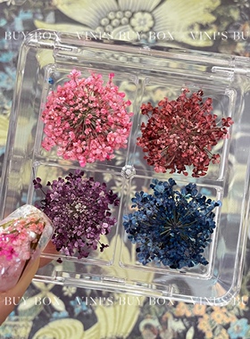 美甲小碎花日系干燥花
