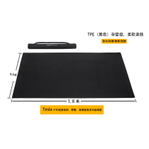 Tesla Tesla Outdoor Tourist Leisure Picnic Spring Summer Tours Countryside Beach Resort Moisture and Wetland Cushions