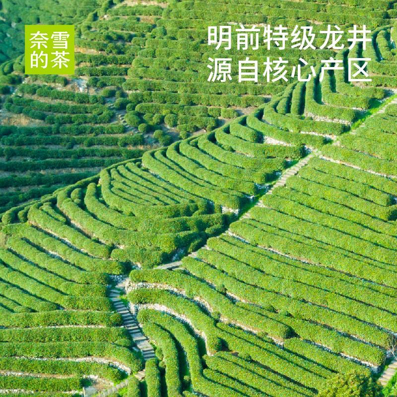 【新茶上市】奈雪的茶限定春茶金桂明前龙井无糖纯茶饮500ml*15瓶 - 图1