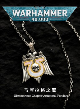 送男友生日礼物 战锤40K正版授权 极限战士徽章925纯银项链