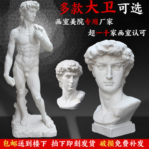 大卫石膏像全身海盗伏尔泰小卫维纳斯马赛琴女大摆件素描美术教具 - 图2