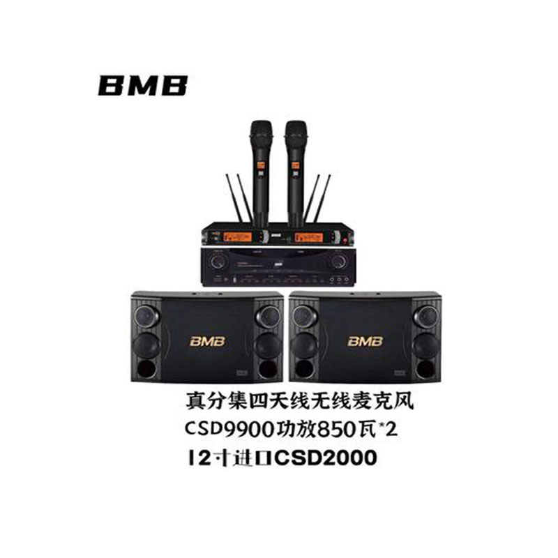 BMB Audio KTV ten-inch speaker home living room set