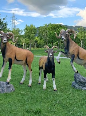 户外仿真盘羊雕塑草坪公园林摆件