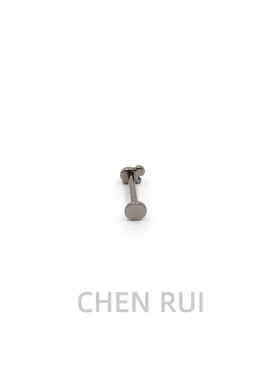 CHENRUI唇钉钛合金饰品钉子亚文化众独特内螺旋乌龟3D立体油压