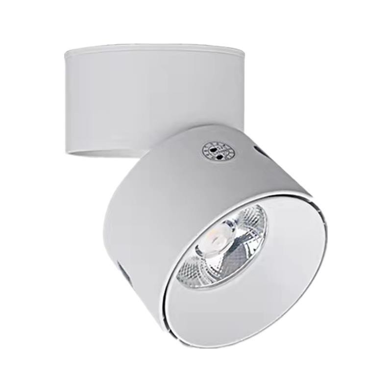 Plant fill light, punch-free growth spotlight, household indoor photosynthesis full spectrum LED downlight imitating the sun