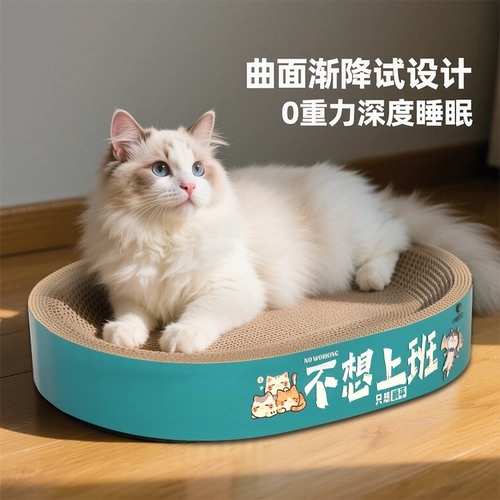 Круглая кошка захватывает игрушечные игрушки и без учета, кошки хватают кастрюлю, возьмите панели кошачьего кошачьего ког