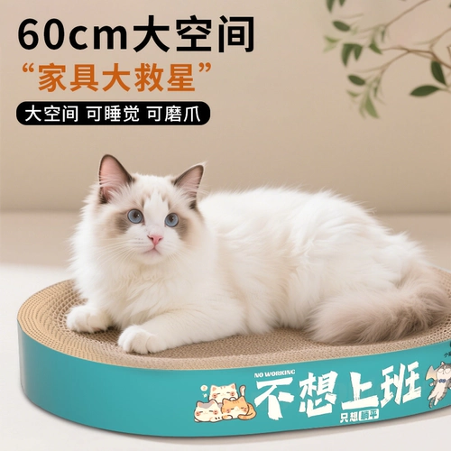 Круглая кошка захватывает игрушечные игрушки и без учета, кошки хватают кастрюлю, возьмите панели кошачьего кошачьего ког