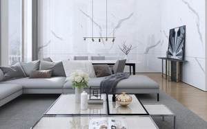 新中源瓷砖广东佛山800x800柔光素色微水泥大板客厅地砖奶油白