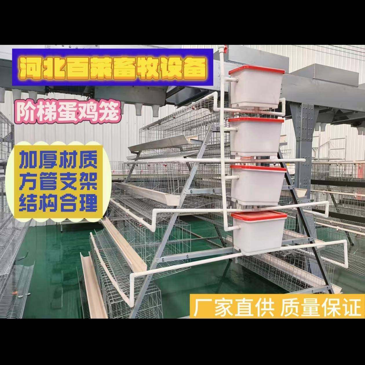 阶梯式蛋鸡笼热镀锌材质防锈耐用适配100-500羽蛋鸡带集蛋槽,淘宝优惠券,粉丝福利购,淘宝优惠卷