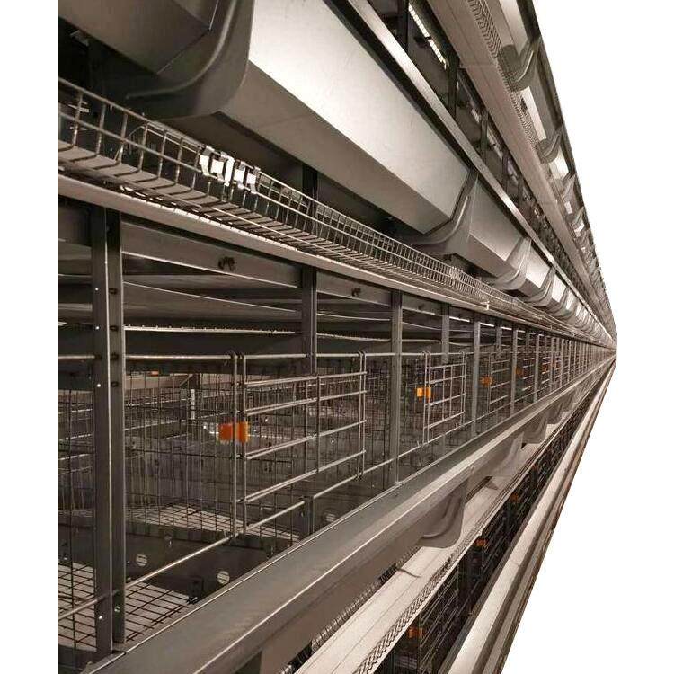 多层蛋鸡笼现代智能化养殖设备可做4层/3层养殖热镀锌养鸡笼,淘宝优惠券,粉丝福利购,淘宝优惠卷