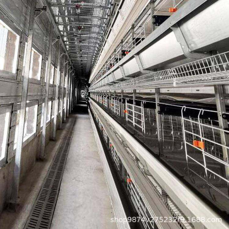 多层蛋鸡笼现代智能化养殖设备可做4层/3层养殖热镀锌养鸡笼,淘宝优惠券,粉丝福利购,淘宝优惠卷