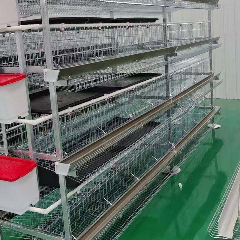 供应鸡舍立式接粪盘蛋鸡笼层叠式设计肉鸡笼镀锌材质养殖设备厂家,淘宝优惠券,粉丝福利购,淘宝优惠卷