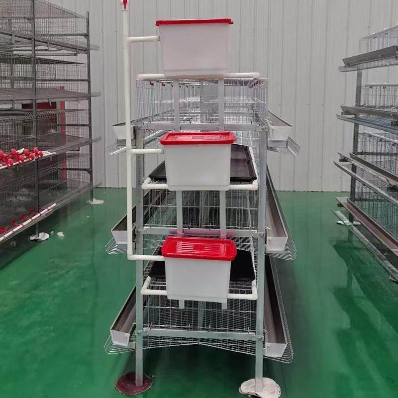 供应鸡舍立式接粪盘蛋鸡笼层叠式设计肉鸡笼镀锌材质养殖设备厂家,淘宝优惠券,粉丝福利购,淘宝优惠卷