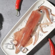 East Mountain Island Sea Hand fishing large tube rocket Squid Squid Squid Sashimi Sea Catch Fresh Live Frozen Sea Rabbit crystal tube