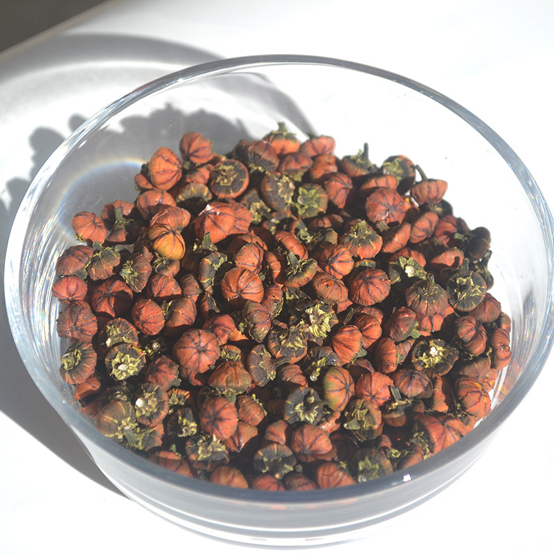 疆臣新疆特产昆仑雪菊胎菊昆仑天山血菊胎菊正品克里阳雪菊胎菊花
