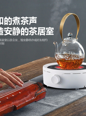 丹唛斯电陶炉茶炉迷你小型煮茶炉家用静音光波炉煮茶器保温铁壶