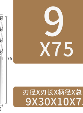 威格55度钨钢铝用合金铣刀3刃铣铝专用CNC高光镜面立铣刀
