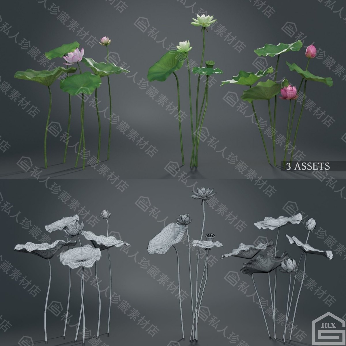 Blender写实荷花荷叶莲蓬3d模型 maya莲花带贴图池塘绿植fbx obj,淘宝优惠券,粉丝福利购,淘宝优惠卷