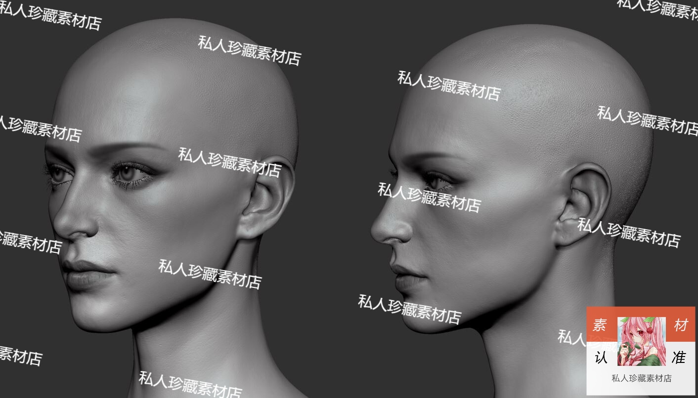 zbrush写实美女头部肖像脸部3D模型zb皮肤五官雕刻雕塑模型可打印 - 图3