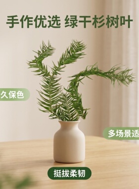 绿干杉树叶插花材料软装布景干花