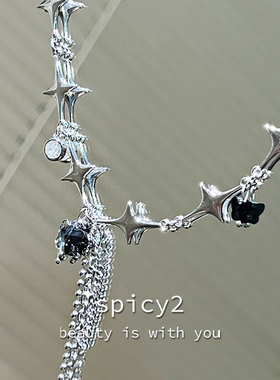 高级感暗黑冷淡风蝴蝶流苏项链