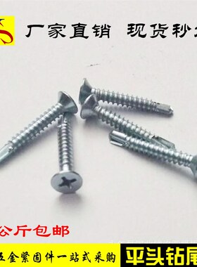 彩钢瓦钉平头十字钻尾螺钉钻尾自攻钉钻尾丝燕尾丝自钻自攻螺丝25