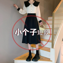 Small sub black half body dress Women fall winter 2023 new fall gross Umbrella Skirt High Waist Display Slim a pair of Hip Skirts