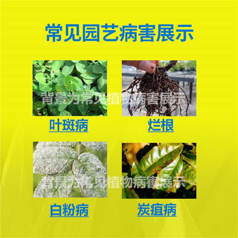 海蒂的花园施奇多菌灵土壤杀菌剂花药叶斑病月季黑斑多肉种球通用,淘宝优惠券,粉丝福利购,淘宝优惠卷