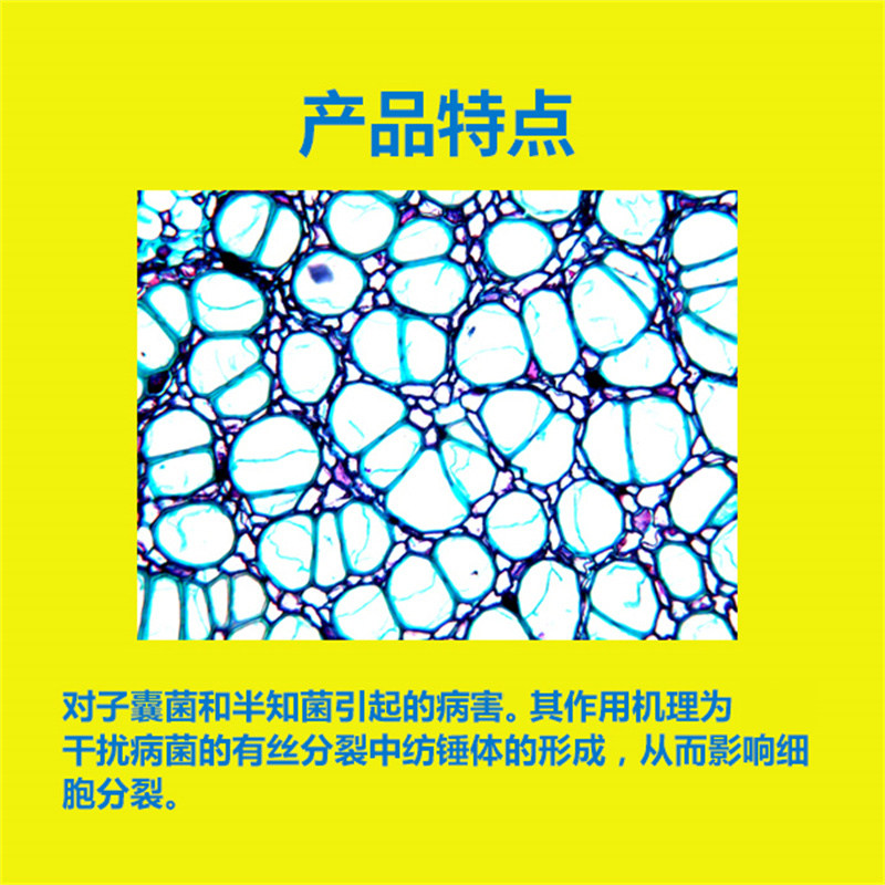 海蒂的花园施奇多菌灵土壤杀菌剂花药叶斑病月季黑斑多肉种球通用,淘宝优惠券,粉丝福利购,淘宝优惠卷