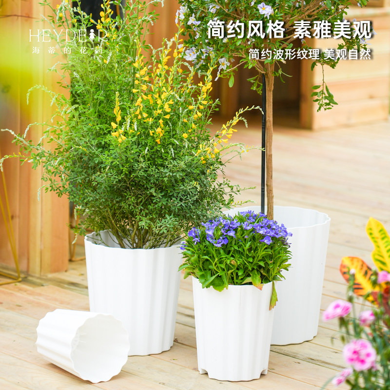 海蒂的花园旗舰店爱丽思波型花盆塑料家用花卉绿植盆栽兰花花盆,淘宝优惠券,粉丝福利购,淘宝优惠卷
