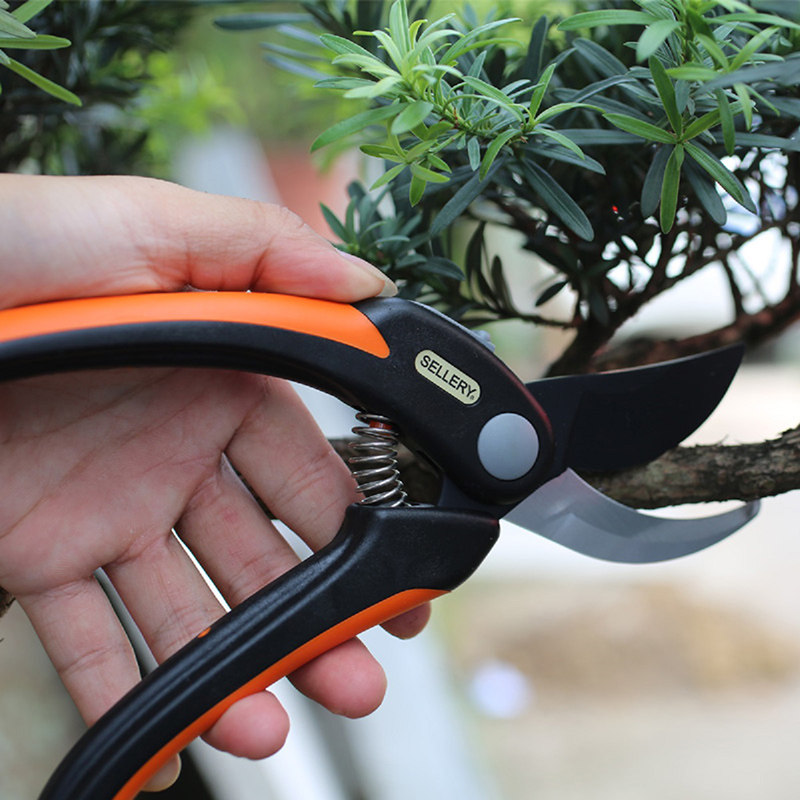 海蒂的花园旗舰店史拉力园艺枝剪花木剪月季绣球植物修枝工具剪刀,淘宝优惠券,粉丝福利购,淘宝优惠卷