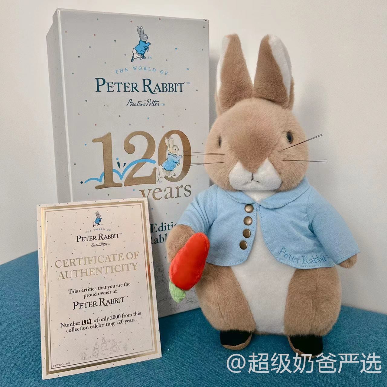 英国正版Peter Rabbit彼得兔公仔毛绒玩具潮流玩具公仔送礼可水洗 - 图0