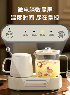 养生壶多功能办公室花茶煮茶壶