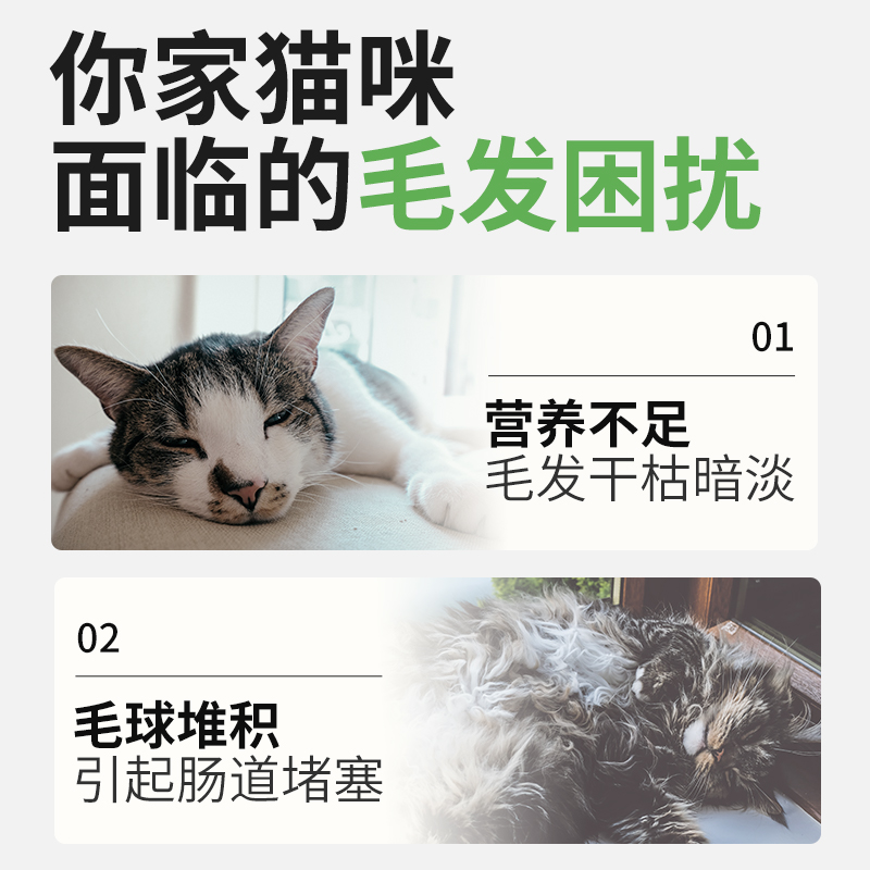 猫草棒磨牙棒冻干猫咪零食化毛球即食猫草粒化毛膏猫咪专用猫草片-图0