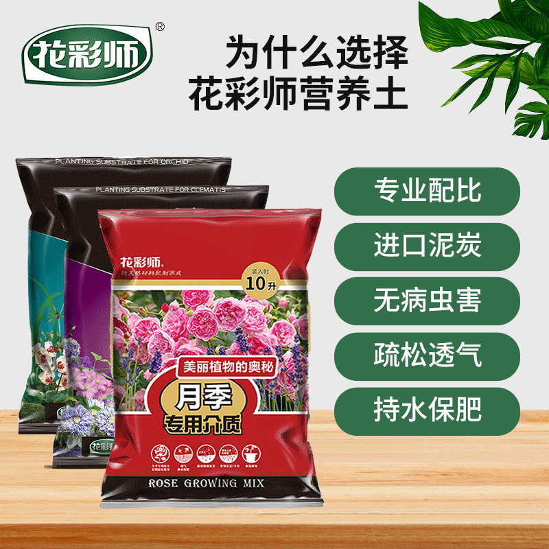 虹越花彩师营养土球根种球月季种植铁线莲蓝莓杜鹃养花通用专用土-图0