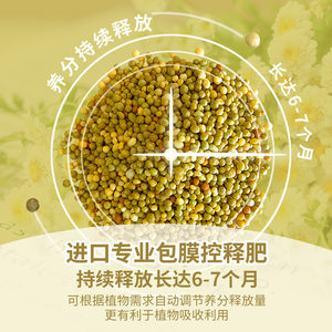 虹越花彩师长效缓释肥花卉肥料营养颗粒控释多肉植物魔肥通用型